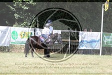 ref. photo 3683251