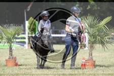 ref. photo 3683268