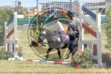 ref. photo 3683277
