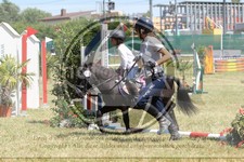 ref. photo 3683278
