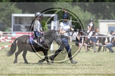 ref. photo 3683279