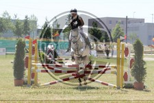 ref. photo 3683290