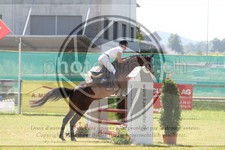 ref. photo 3683306