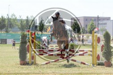 ref. photo 3683309