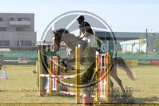 ref. photo 3683320