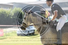 ref. photo 3683327