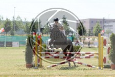 ref. photo 3683336