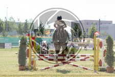 ref. photo 3683341