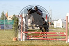 ref. photo 3683358