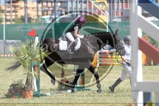 ref. photo 3683373