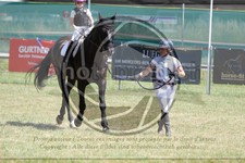 ref. photo 3683381