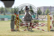 ref. photo 3683414