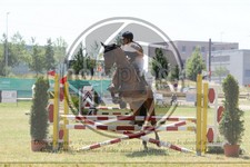 ref. photo 3683424