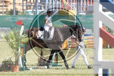 ref. photo 3683434