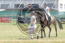 ref. photo 3683443