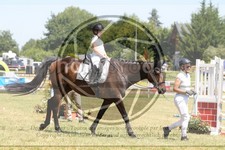 ref. photo 3683449