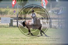 ref. photo 3683452