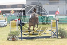 ref. photo 3683458