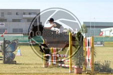 ref. photo 3683478