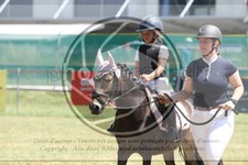ref. photo 3683496