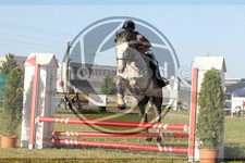 ref. photo 3683519