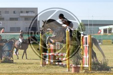 ref. photo 3683525