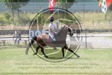 ref. photo 3683538
