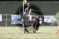 ref. photo 3683544