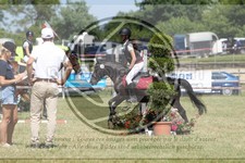 ref. photo 3683548