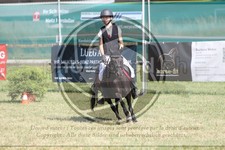 ref. photo 3683560