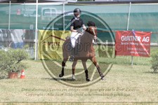 ref. photo 3683589