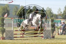 ref. photo 3683609