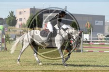 ref. photo 3683610