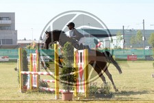 ref. photo 3683621
