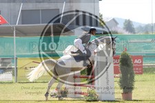 ref. photo 3683631