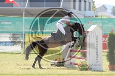 ref. photo 3683653