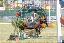 ref. photo 3683670