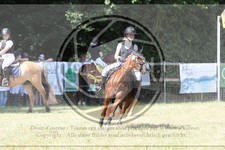 ref. photo 3683674