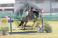 ref. photo 3683723
