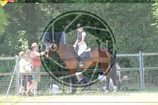 ref. photo 3683725
