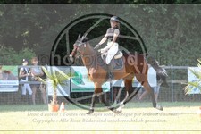 ref. photo 3683727