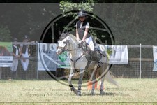 ref. photo 3683740