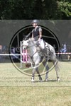 ref. photo 3683741