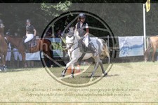 ref. photo 3683748