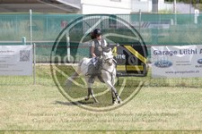 ref. photo 3683751