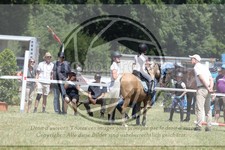 ref. photo 3683781