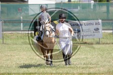 ref. photo 3683818