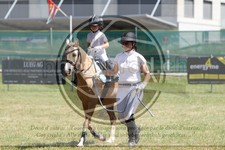 ref. photo 3683820