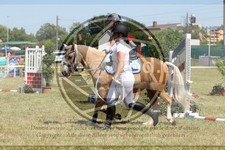ref. photo 3683822