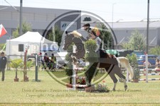 ref. photo 3683838